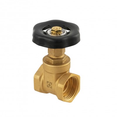 Засувка клинова RAFTEC BLACK DGRB1-6