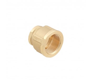 Муфта перехідна RAFTEC GMP0201-GMP0302