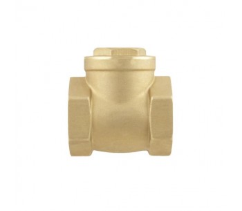 Зворотний клапан пелюстковий PSWNV01-06